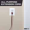 20 Ft Brown Extension Cord 2 Pack - 16/2 Durable Electrical Cable